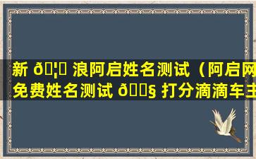 新 🦅 浪阿启姓名测试（阿启网免费姓名测试 🐧 打分滴滴车主）